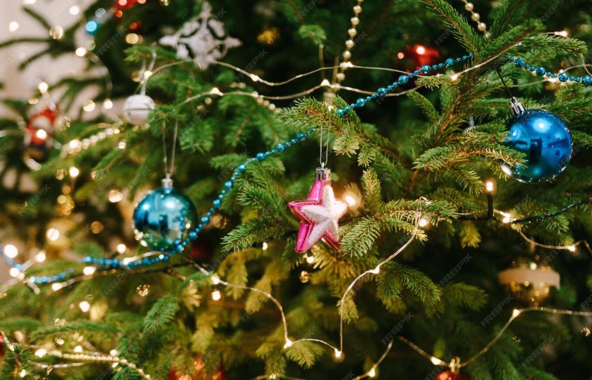 87 школьников из Новосибирской области попадут на Кремлёвскую ёлку