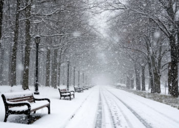 Ждём сугробы: погода на 8 декабря