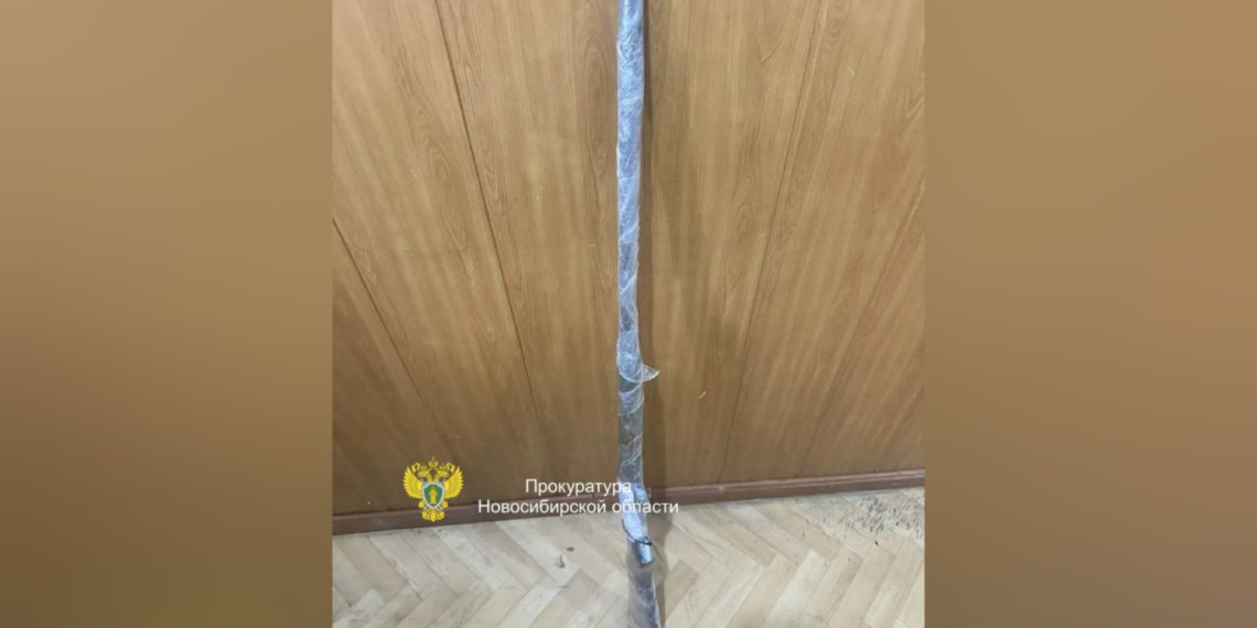 Новосибирец предстанет перед судом за подаренное ружьё