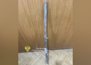 Новосибирец предстанет перед судом за подаренное ружьё