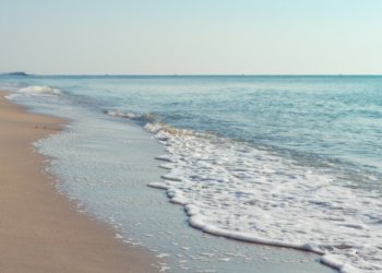 Туроператоры назвали самые популярные направления для новогоднего отдыха новосибирцев