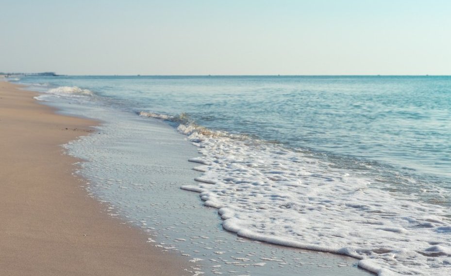 Туроператоры назвали самые популярные направления для новогоднего отдыха новосибирцев