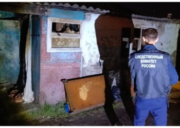 Жительницу Новосибирской области отправят под суд из-за её погибших маленьких детей