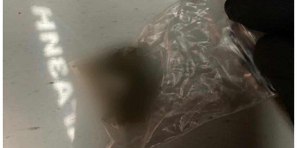 В Новосибирске взяли «на горяченьком» наркокурьера с 33 пакетами товара