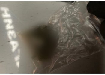 В Новосибирске взяли «на горяченьком» наркокурьера с 33 пакетами товара