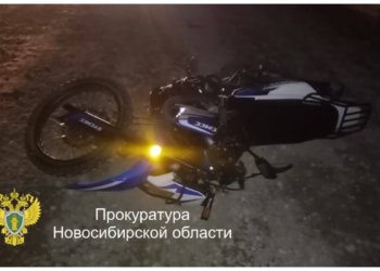 Прокуратура направила в суд дело о гибели ребёнка из-за гужевой повозки в Новосибирской области