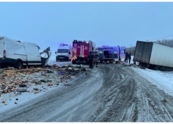 ДТП с грузовиком унесло жизнь водителя легковушки в Новосибирской области