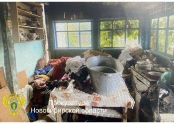 17-летний подросток обвиняется в попытке поджога четырёх человек в Новосибирской области