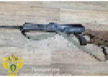 Двух браконьеров осудили за убитую косулю в Новосибирской области