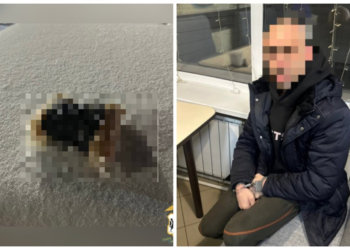 Сибирские полицейские поймали наркокурьера с 400-граммовым пакетом продукта