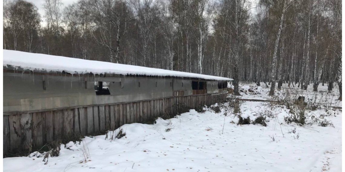 Прокуратура наказала штрафом предпринимателя за застройку в лесу в Новосибирской области