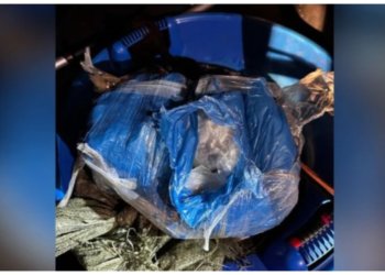 В Новосибирске поймали наркокурьера с 6 килограммами товара «в ассортименте»