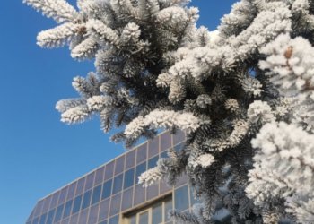 Морозы до -24 и штормовой ветер придут в Новосибирскую область. Смотрим прогноз