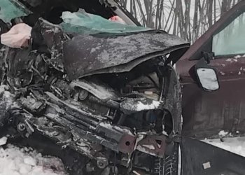 Каждый день — один погибший: статистика ДТП за ноябрь 2025 года