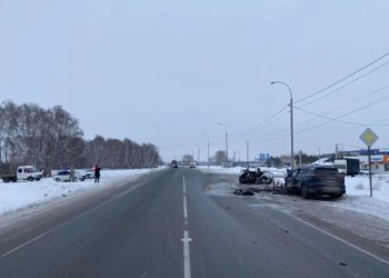 Выезд на встречку спровоцировал массовое ДТП со смертельным исходом под Новосибирском