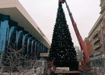 В Новосибирске у Зала имени Каца  впервые установили новогоднюю ель