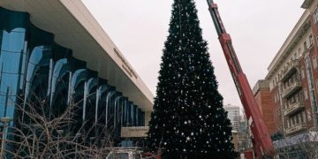 В Новосибирске у Зала имени Каца  впервые установили новогоднюю ель