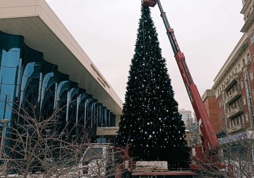 В Новосибирске у Зала имени Каца  впервые установили новогоднюю ель