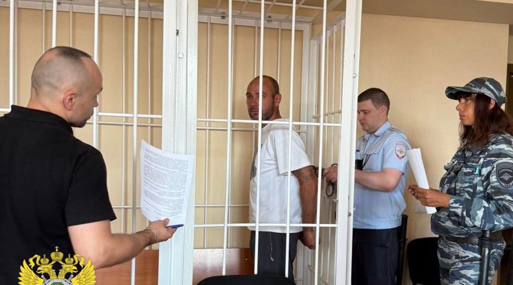 В Новосибирске вынесен приговор по уголовному делу о наезде на пляже