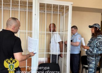 В Новосибирске вынесен приговор по уголовному делу о наезде на пляже