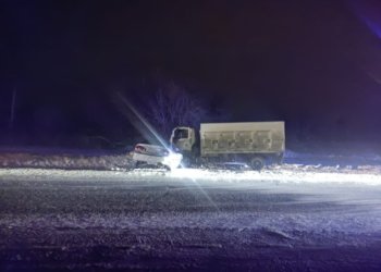 Два пенсионера погибли в столкновении с грузовиком на новосибирской трассе