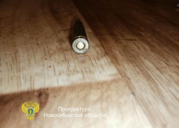 Новосибирца отправят под суд за незаконное хранение боеприпасов
