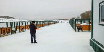 Новый приют для бездомных собак открылся на левом берегу Новосибирска