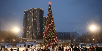 Новогодние ёлки из Новосибирской области поборются за победу во всероссийском конкурсе