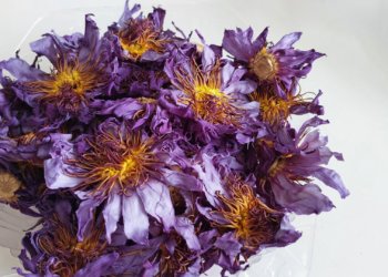 Галлюциногенный чай из лотоса конфисковала новосибирская таможня