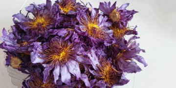 Галлюциногенный чай из лотоса конфисковала новосибирская таможня