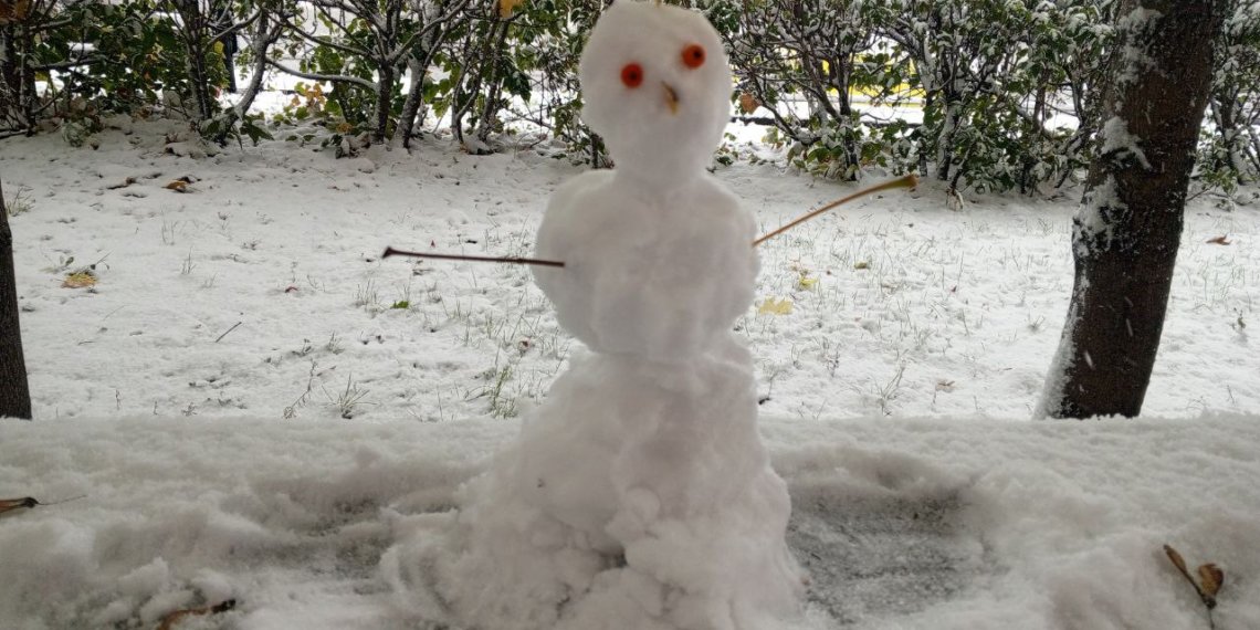 Потепление до -3 и снег ожидаются в Новосибирске