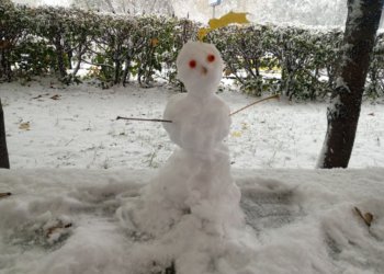 Потепление до -3 и снег ожидаются в Новосибирске