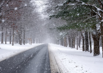 Возможен снегопад: погода 4 декабря