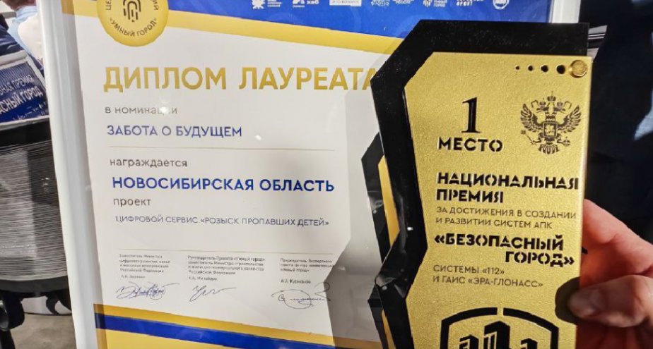 Новосибирский сервис по поиску пропавших детей признан лучшим в России