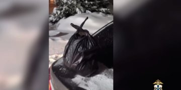 17-летнего подростка задержали за работу курьером мошенников в Новосибирске