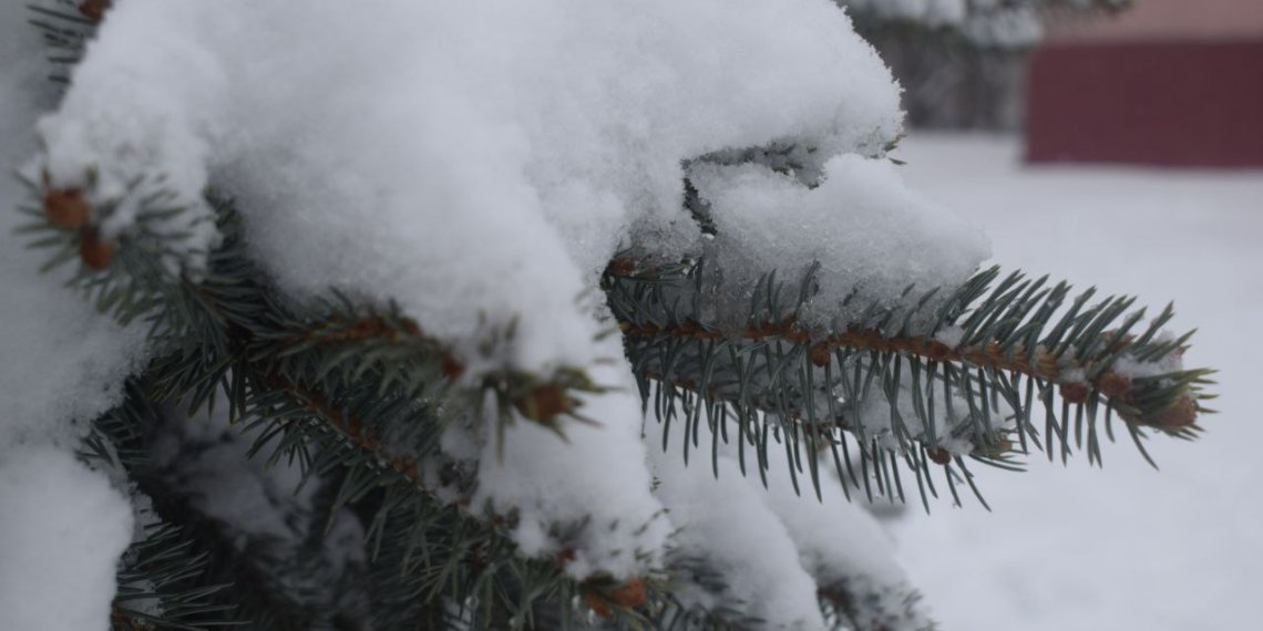 Морозы до -22°C и снежные заносы прогнозируют в Новосибирской области