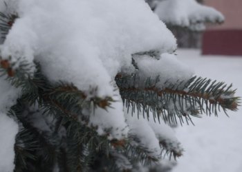 Морозы до -22°C и снежные заносы прогнозируют в Новосибирской области