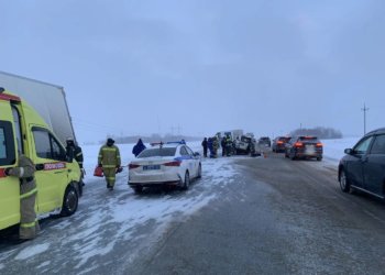 В Болотнинском районе легковушка столкнулась с двумя грузовиками — погибла пассажирка