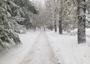 Морозы до -38 ожидаются в Новосибирской области