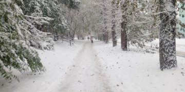 Морозы до -38 ожидаются в Новосибирской области