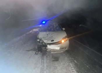 В Барабинском районе водитель сбил насмерть пешехода на трассе