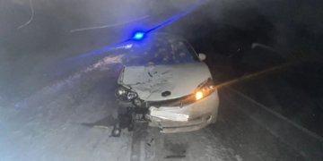 В Барабинском районе водитель сбил насмерть пешехода на трассе