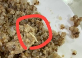 В столовском обеде школьница обнаружила в котлете червя