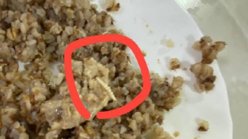 В столовском обеде школьница обнаружила в котлете червя