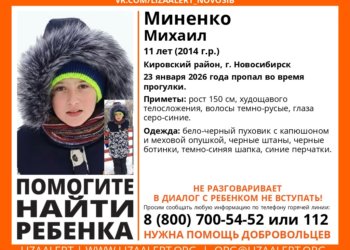 В Новосибирске исчез 11-летний мальчик