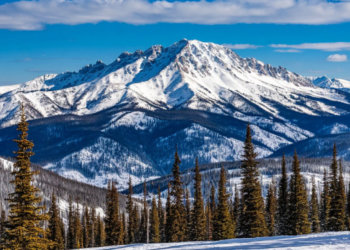 В скандальном баре Шерегеша у сотрудников нашли норовирус и кишечную инфекцию