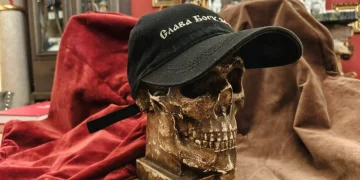 В России утвердили максимальные сроки ожидания врачебной помощи