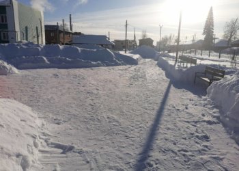 После вмешательства прокуратуры в Черепаново почистили парк