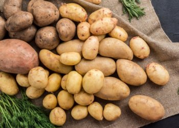 Цены на картофель вырастут в Новосибирской области