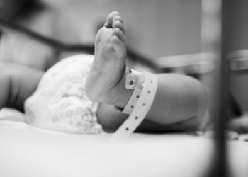 Новосибирский вирусолог Нетёсов высказался о причинах гибели младенцев в Новокузнецке